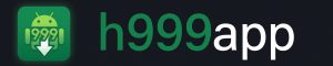 H999 Game